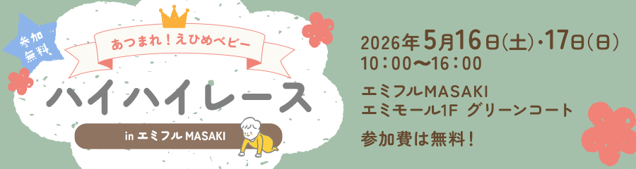 ハイハイレース